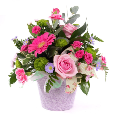 Cotton Candy - This little pot of sweetness is a joy to behold. Filled with smiling flowers and a complement of variegated foliage. Cotton Candy - This little pot of sweetness is a joy to behold. Filled with smiling flowers and a complement of variegated foliage.
