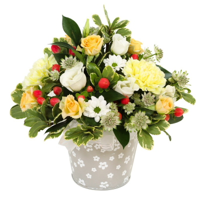 A New Day - Flowers to put a smile on their face. Let them know that you’re thinking of them with this fun petite collection of flowers and foliage to send same day. Flowers for same day delivery by the local florist. A New Day - Flowers to put a smile on their face. Let them know that you’re thinking of them with this fun petite collection of flowers and foliage to send same day. Flowers for same day delivery by the local florist.